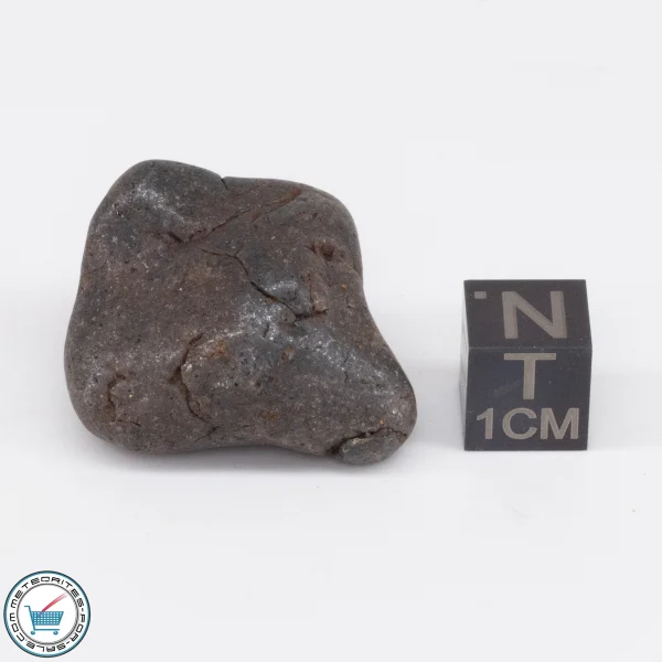 NWA 6947 Meteorite 17.5g Tumbled
