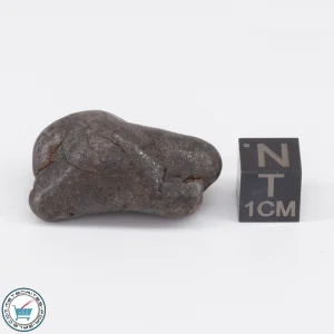 NWA 6947 Meteorite 16.1g Tumbled