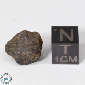 Admire Pallasite Meteorite 2.01g Crystal