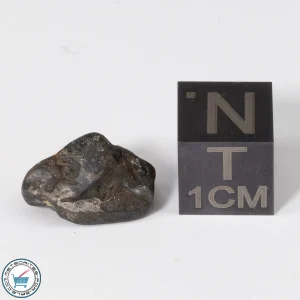 Admire Pallasite Meteorite 1.47g Crystal