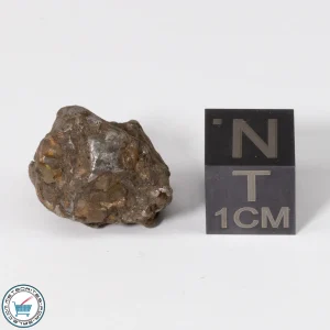 Admire Pallasite Meteorite 5.33g Nugget