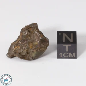Admire Pallasite Meteorite 9.7g Nugget