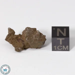 Admire Pallasite Meteorite 6.0g Nugget