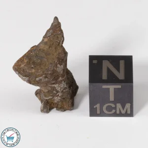 Admire Pallasite Meteorite 4.9g Nugget