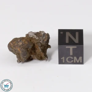 Admire Pallasite Meteorite 3.8g Nugget