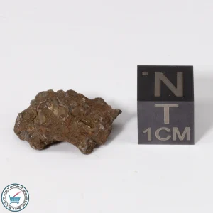 Admire Pallasite Meteorite 3.0g Nugget