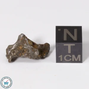 Admire Pallasite Meteorite 2.0g Nugget