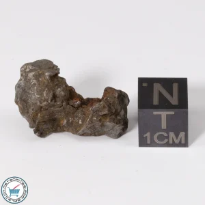 Admire Pallasite Meteorite 5.5g Nugget