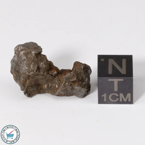 Admire Pallasite Meteorite 5.5g Nugget