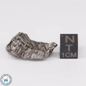 Aletai Meteorite 12.6g Crystal