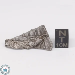 Aletai Meteorite 18.3g Crystal