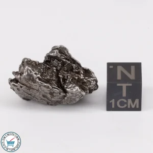 Aletai Meteorite 13.2g Crystal