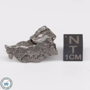 Aletai Meteorite 11.5g Crystal