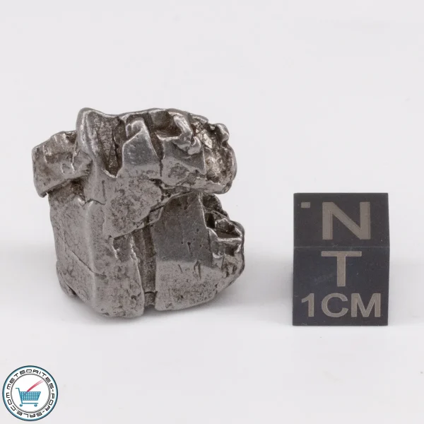 Aletai Meteorite 20.7g Crystal