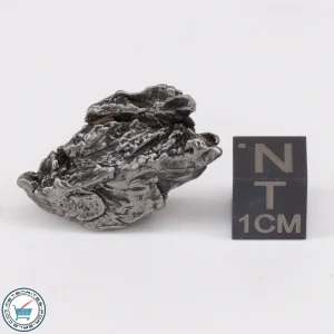 Aletai Meteorite 12.7g Crystal