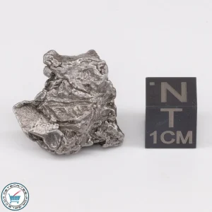 Aletai Meteorite 13.2g Crystal