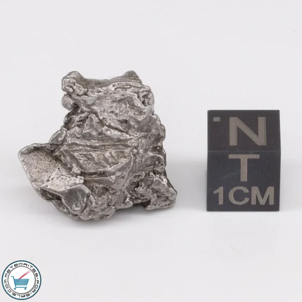 Aletai Meteorite 13.2g Crystal