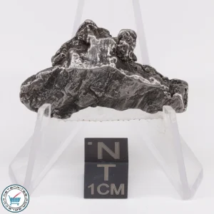 Aletai Meteorite 16.3g Crystal