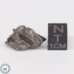 Aletai Meteorite 4.9g Crystal