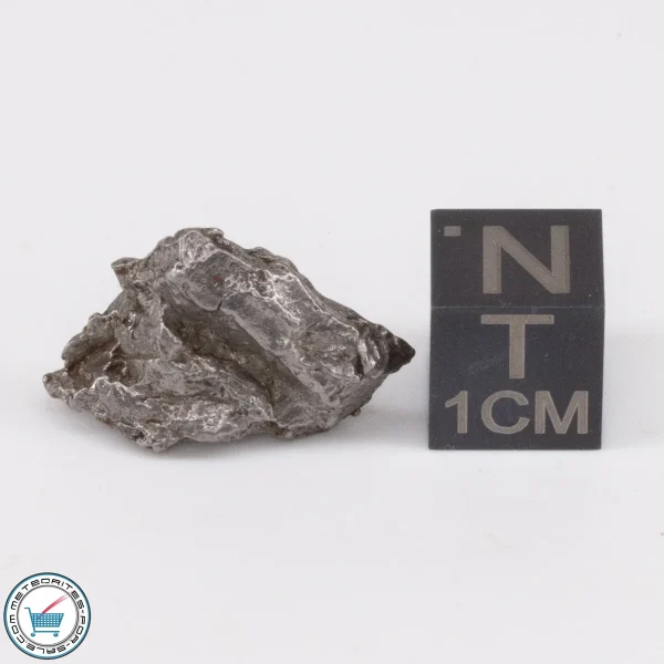 Aletai Meteorite 4.9g Crystal
