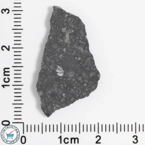 Allende Meteorite 1.32g Slice