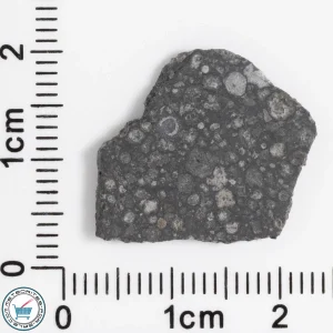 Allende Meteorite 1.51g Slice