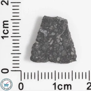 Allende Meteorite 0.74g Slice
