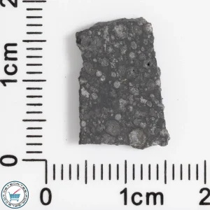 Allende Meteorite 0.86g Slice