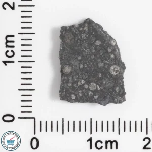 Allende Meteorite 0.74g Slice