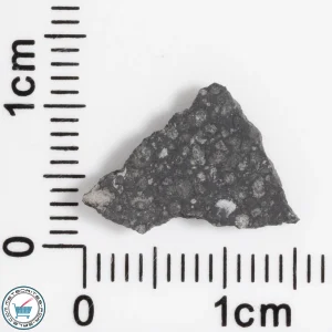 Allende Meteorite 0.43g Slice