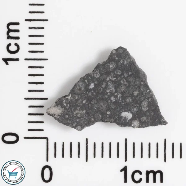 Allende Meteorite 0.43g Slice