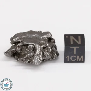 Campo del Cielo Meteorite 17.5g Crystal