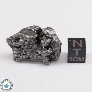 Campo del Cielo Meteorite 24.1g Crystal