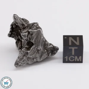 Campo del Cielo Meteorite 19.7g Crystal