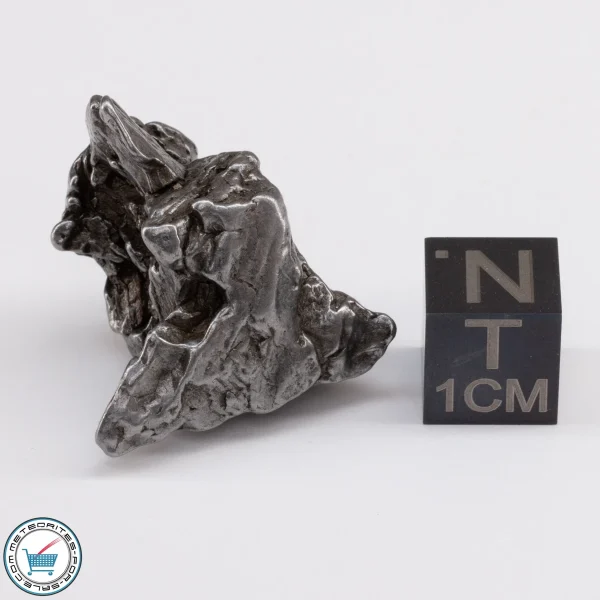 Campo del Cielo Meteorite 19.7g Crystal