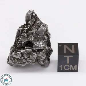 Campo del Cielo Meteorite 21.9g Crystal