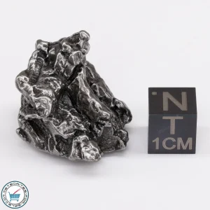 Campo del Cielo Meteorite 28.3g Crystal