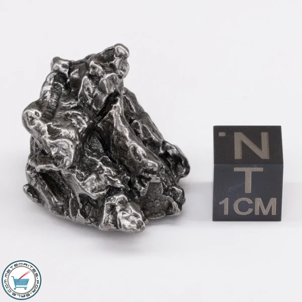 Campo del Cielo Meteorite 28.3g Crystal
