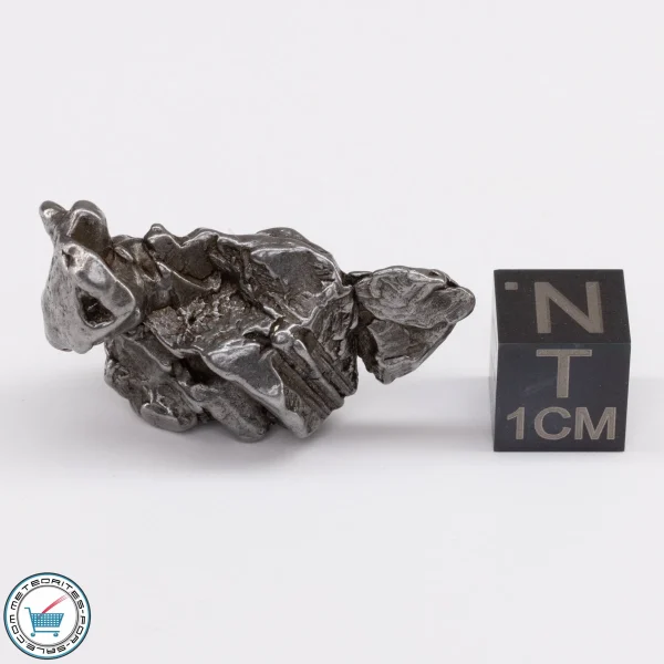 Campo del Cielo Meteorite 19.6g Crystal