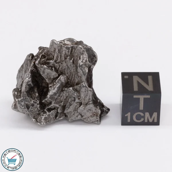 Campo del Cielo Meteorite 20.7g Crystal