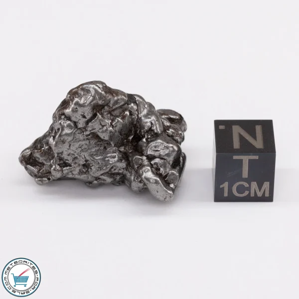 Campo del Cielo Meteorite 26.9g Crystal
