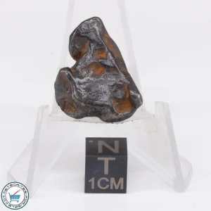 Canyon Diablo Meteorite 11.9g