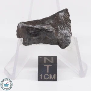 Canyon Diablo Meteorite 8.1g