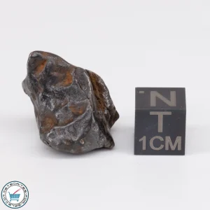 Canyon Diablo Meteorite 14.1g
