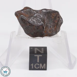 Canyon Diablo Meteorite 7.2g
