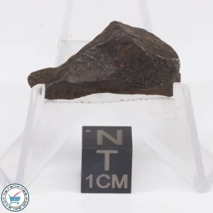Canyon Diablo Meteorite 7.2g