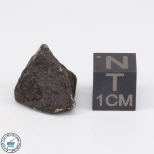 Canyon Diablo Meteorite 6.9g