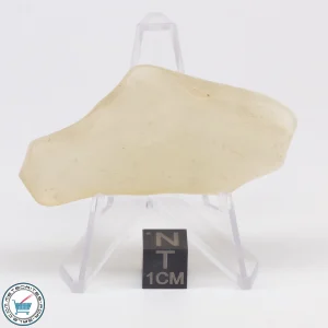 Libyan Desert Glass 31.6g