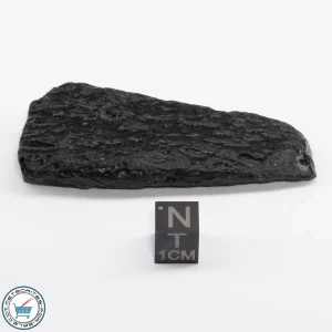 Thailand Tektite 28.4g