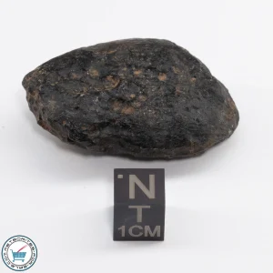 Thailand Tektite 25.1g